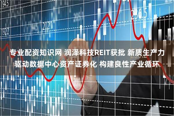 专业配资知识网 润泽科技REIT获批 新质生产力驱动数据中心资产证券化 构建良性产业循环