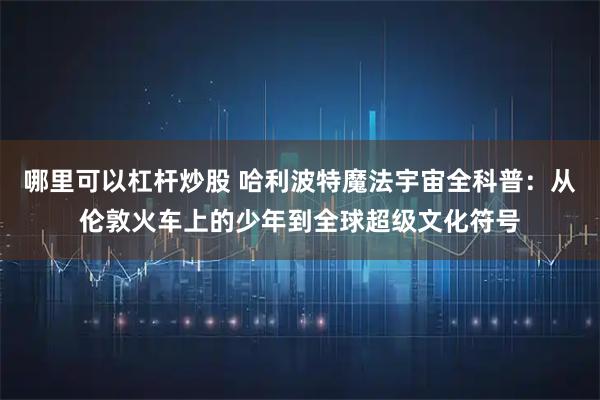 哪里可以杠杆炒股 哈利波特魔法宇宙全科普：从伦敦火车上的少年到全球超级文化符号